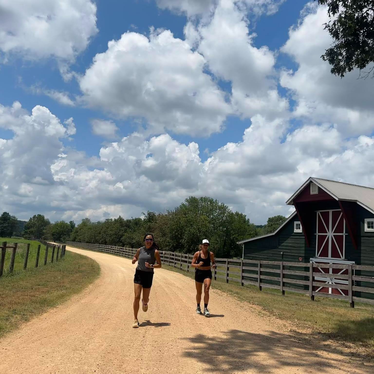 New Trail Run